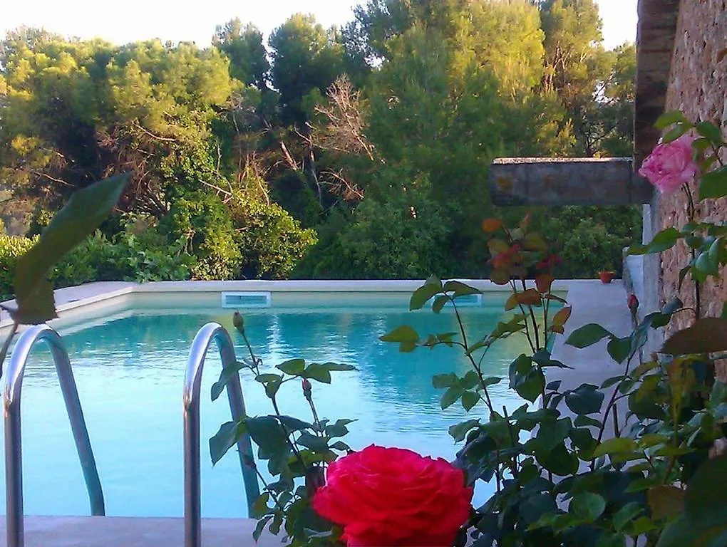 Casa rural Masia Can Cardus Hotel Sant Sadurní dʼAnoia
